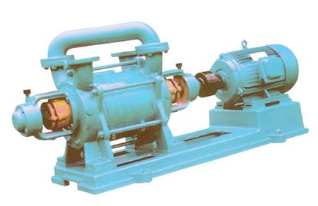 2SK-3型水環(huán)真空泵