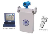 ZLY系統(tǒng)質(zhì)量流量計(jì)