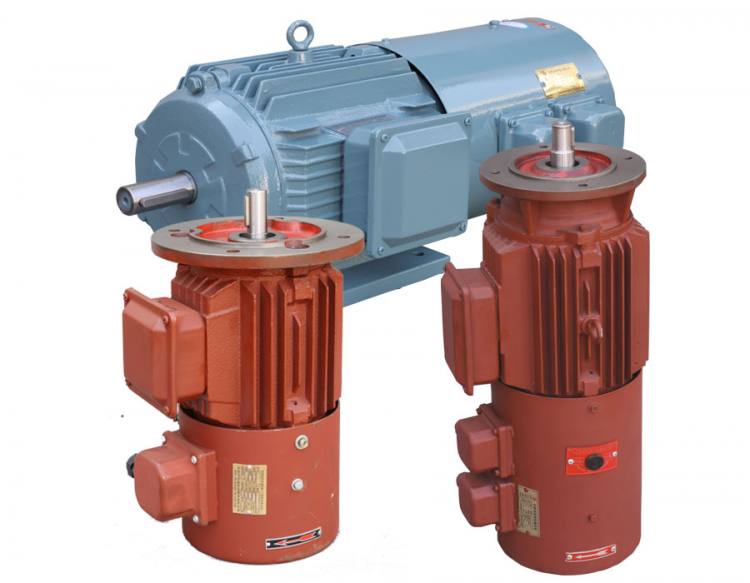 YP系列（IP54）變頻調速三相異步電動機