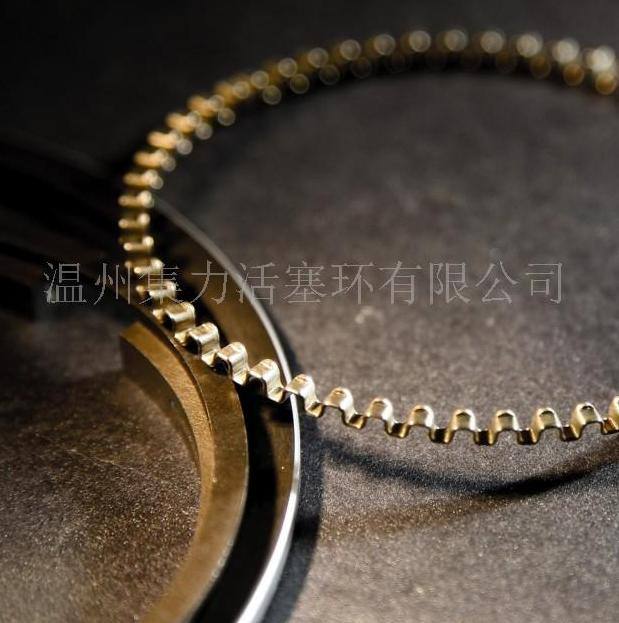 生產活塞環(huán)汽車配件