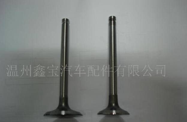 帕金斯氣門.其他各種車型外貿(mào)氣門