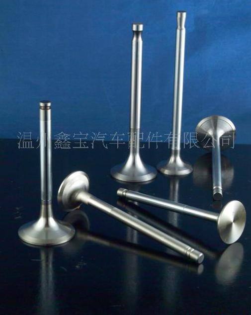 汽車配件.其他歐美日韓系列氣門