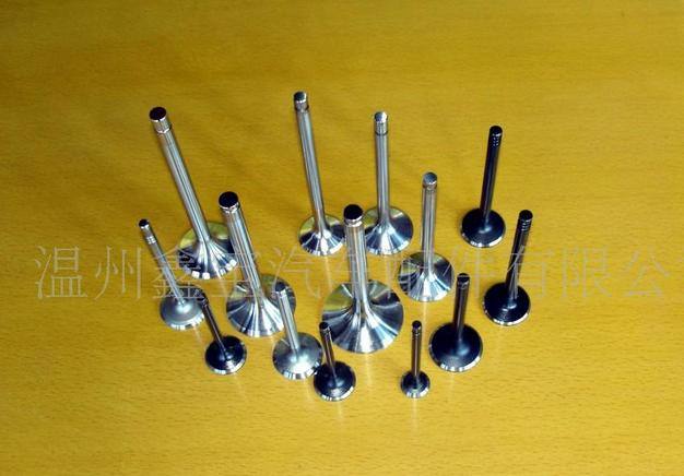 發動機氣門.其他歐美日韓系列氣門