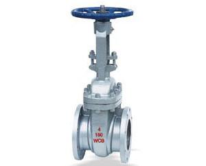 Z41H美標(biāo)閘閥 鑄造件