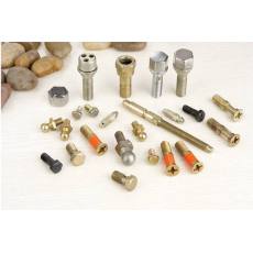 汽車非標(biāo)螺絲，汽車輪胎防盜螺絲