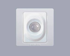 人體感應器開關 220V 60W