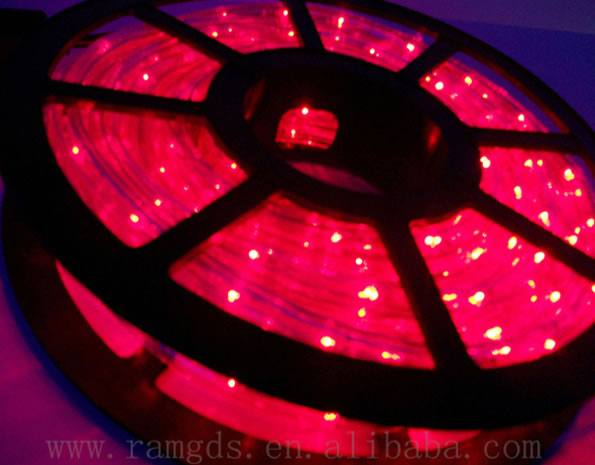 MG-R2W16 LED圓二線彩虹管