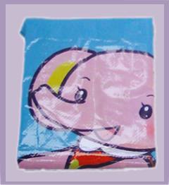 PEHG003 汽車蓬布，輪船蓬布，倉庫墊布，旅游、沙灘墊布，帳蓬布