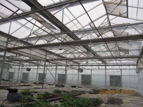 玻璃溫室大棚細(xì)節(jié)