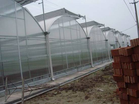 圓拱型溫室大棚