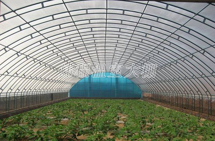 冬暖式溫室大棚