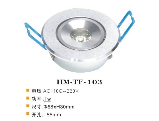 HM-TF-103天花燈