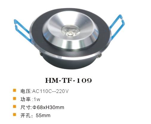 HM-TF-109天花燈