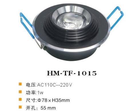 HM-TF-1015 天花燈