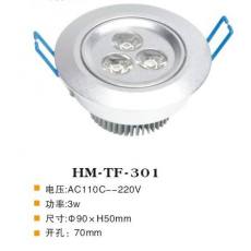 HM-TF-301 天花燈
