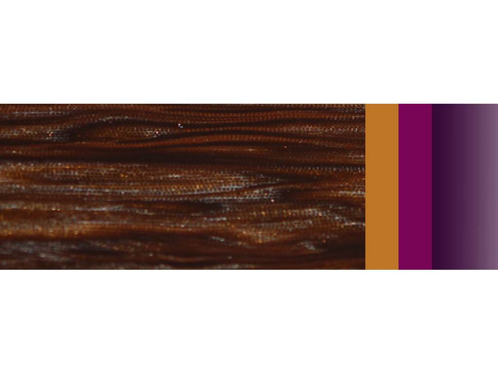 FANTASY醋酸纖維素板材