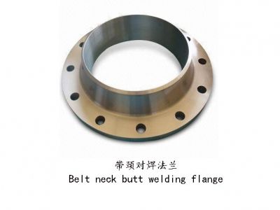 帶頸對焊法蘭 鑄件