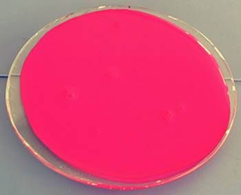 HB-11粉紅 印染色漿熒光顏料