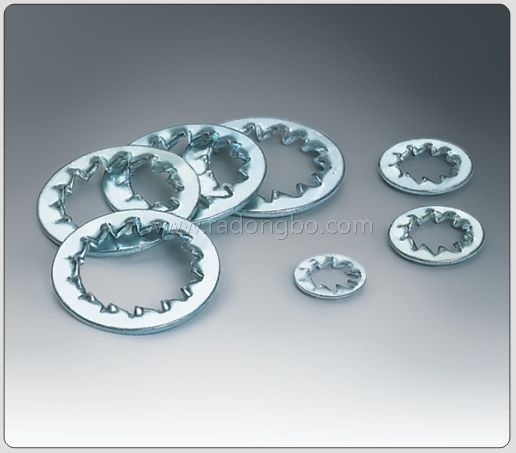 DIN9798J GB861.2 墊圈