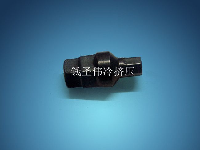 汽摩配件 冷擠壓件