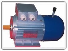 鋁殼小規(guī)格Y2及YEJ2（制動(dòng)電機(jī)）系列三相異步電動(dòng)機(jī)
