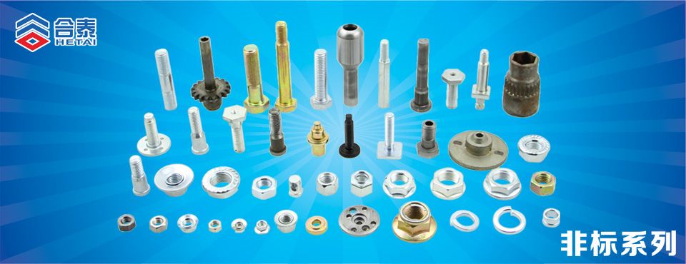 非標螺絲釘 緊固件