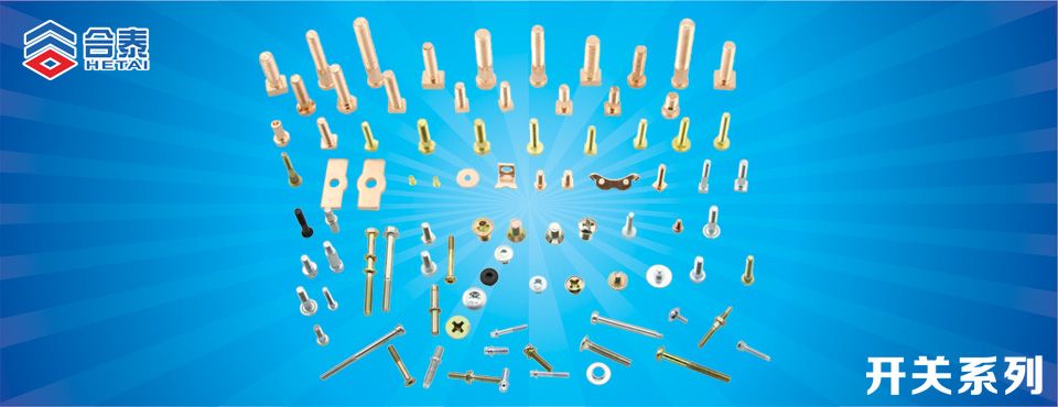 開關螺絲釘 緊固件