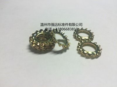 緊固件 沖壓件 標(biāo)準(zhǔn)件 外齒墊圈 外齒墊片