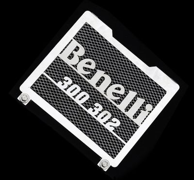 錢江貝納利黃龍藍寶龍Benelli藍寶龍300/BJ300GS改裝水箱網防護罩