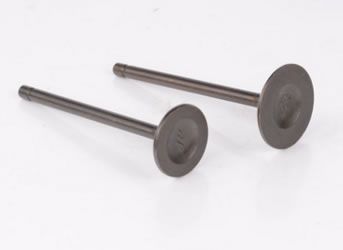 摩托車150進排氣門