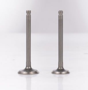 摩托車JH70進排氣門