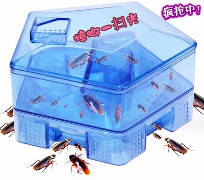 蟑螂誘捕器捕捉器蟑螂屋小強盒子誘餌貼粉滅蟑螂藥蟑螂捕捉器