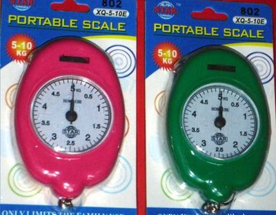 便攜式彈簧秤 鉤魚秤 禮品秤 手提秤 彈簧秤5kg