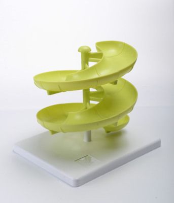 新奇特廚房用品收納 雞蛋盒特別禮物兒童玩具雞蛋架