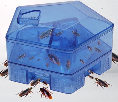 蟑螂誘捕器捕捉器蟑螂屋小強盒子誘餌貼粉滅蟑螂藥蟑螂捕捉器